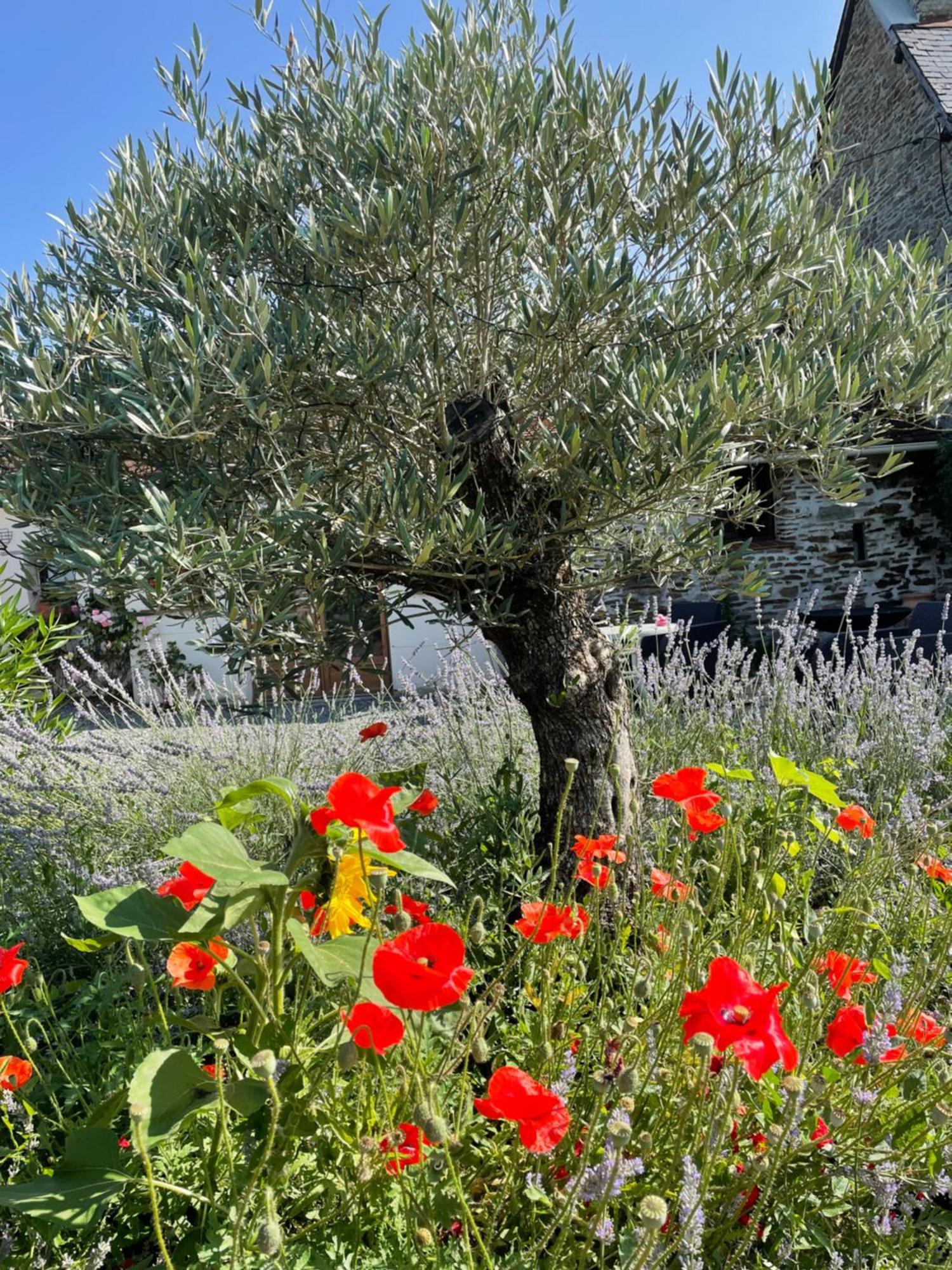 Delightful French Rustic Studio Jumilhac-le-Grand 외부 사진